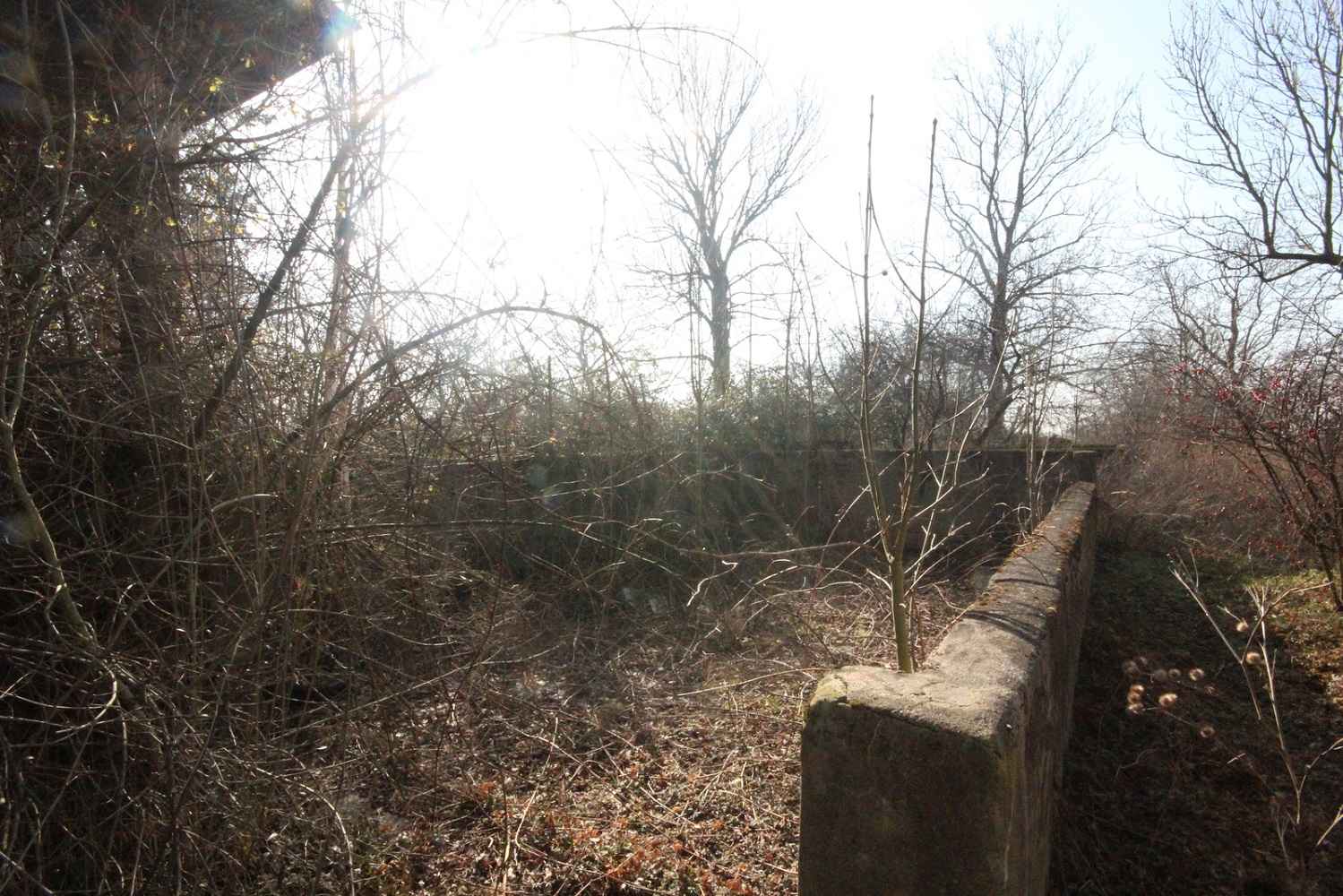 5pok, 200met, Jenkowice STODOŁA/OGRÓD/GARAŻ (Jenkowice) Jenkowice - zdjęcie 9