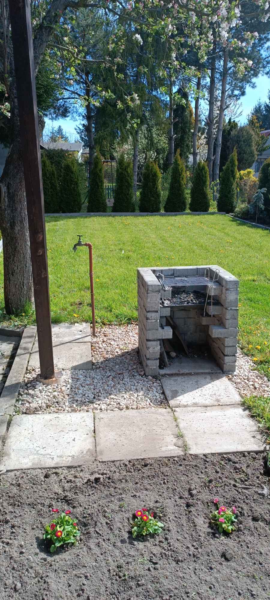 Działka rekreacyjna ROD Piotrków Trybunalski - zdjęcie 5