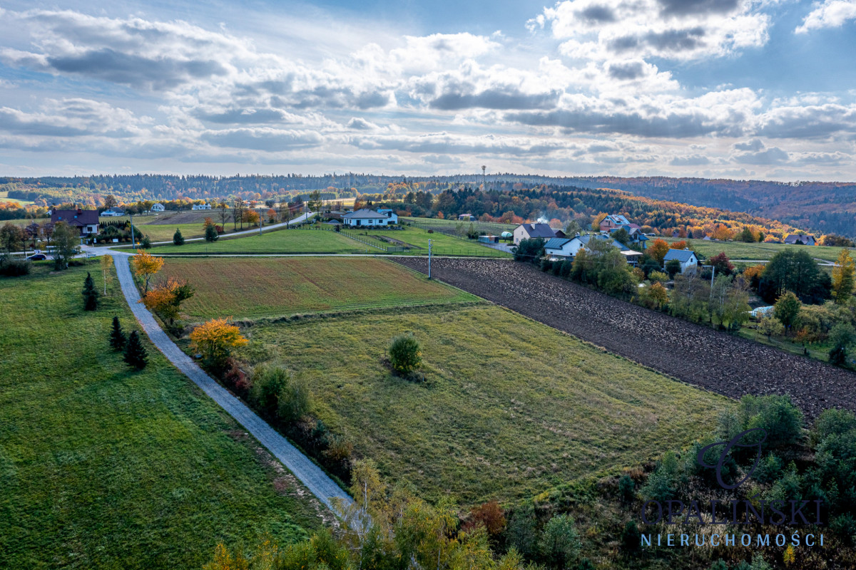 Atrakcyjna okolica I 10 ar | Panorama | Media Straszydle - zdjęcie 6