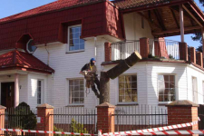 Ścinka drzew, ścinka sekcyjna prace alpinistyczne