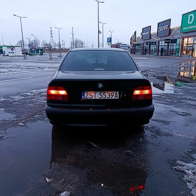 BMW 520i E39 1998 Stargard - zdjęcie 6