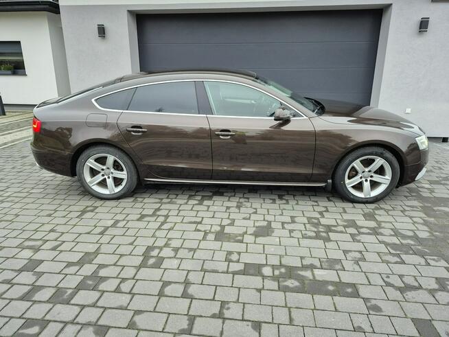 Audi A5 xenon led navi chromy ładny  lift Drelów - zdjęcie 5