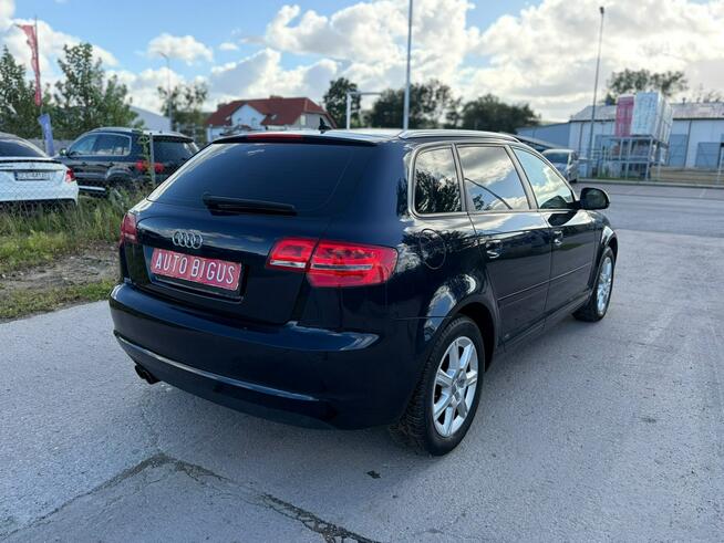 Audi A3 Climatronic   wymieniony rozrząd ledy xsenon automat navi Lębork - zdjęcie 8