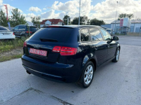 Audi A3 Climatronic   wymieniony rozrząd ledy xsenon automat navi Lębork - zdjęcie 8