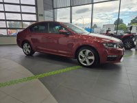 ŠKODA OCTAVIA RS 2.0TDI 135 KW DSG Łaziska Górne - zdjęcie 5