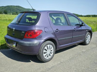 Peugeot 307 1,6 16V Rząśnik - zdjęcie 5