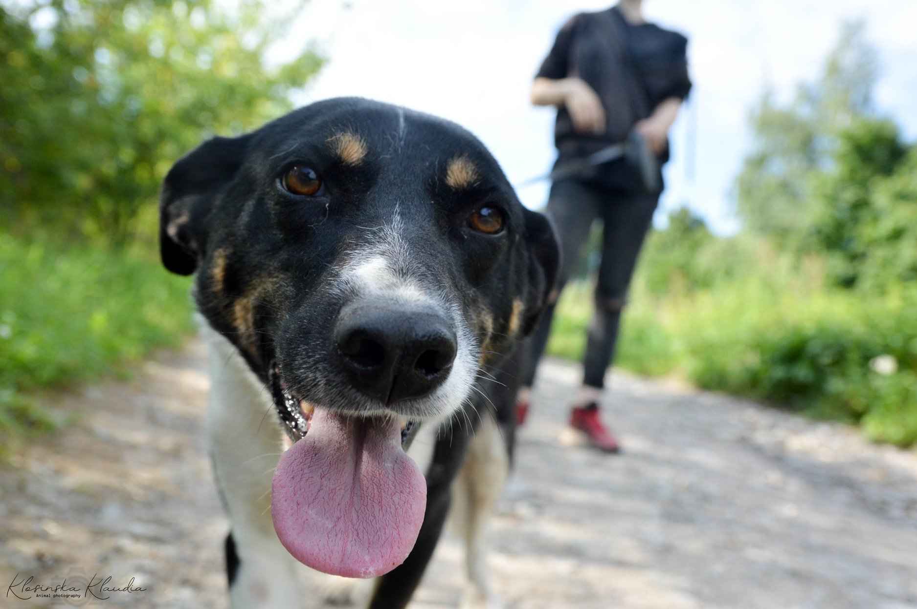 Pepsi i Cola - cudowne, przyjazne siostry do pokochania Olsztyn - zdjęcie 8