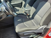 Kia Nowy Ceed 1.5 T-GDI Wersja M Kamera Tempomat LED Salon Pl Bełchatów - zdjęcie 12