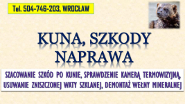 Szacowanie szkód po kunie, tel. 504-746-203, Wrocław. Wycena szkody, Psie Pole - zdjęcie 1