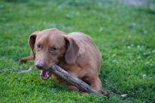 Kuba - wulkan energi szukający swojego miejsca na ziemi Łętkowice - zdjęcie 4