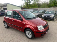 Fiat Panda Łódź - zdjęcie 5