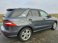 Mercedes ML 250 250cdi 4 matic 220tys Km ! Pleszew - zdjęcie 4
