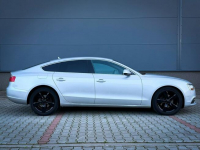 Audi A5 2.0 TDI | 177KM | AUTOMAT | S-LINE | SKÓRA | TEMPOMAT Wrocław - zdjęcie 5