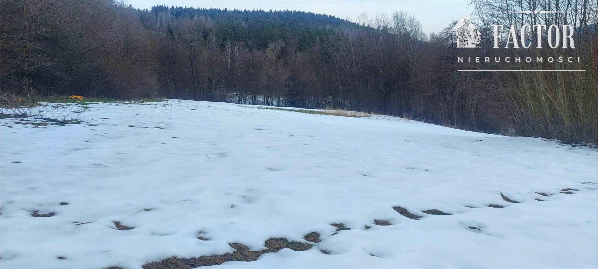 Działka budowlana w otulinie drzew 57 a – Siary, gm. Sękowa 1176S/2026 Siary - zdjęcie 2