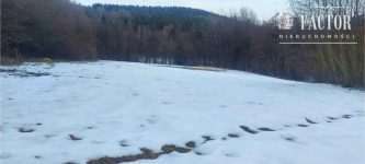 Działka budowlana w otulinie drzew 57 a – Siary, gm. Sękowa 1176S/2026 Siary - zdjęcie 2