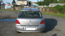 sprzedam peugeot 307 - klimatyzacja Ostrów Wielkopolski - zdjęcie 6