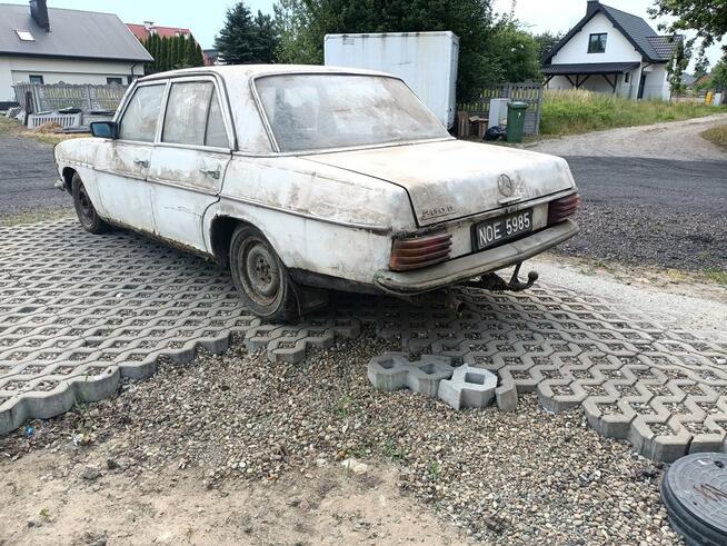 Mercedes W115 2.0D 72r Tarnów - zdjęcie 3