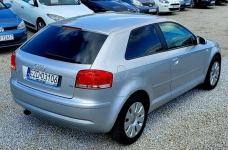 Audi A3 Lift! Parktronic! Niski przebieg! Stan Wzorowy! Zamiana też! Zduńska Wola - zdjęcie 4