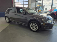 Volkswagen Golf 1.6 TDI BlueMotion LOUNGE - SERWISOWANY Łaziska Górne - zdjęcie 5