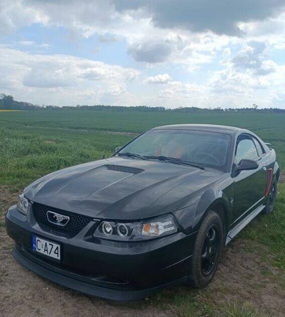 Ford Mustang /zamienię Poznań - zdjęcie 1
