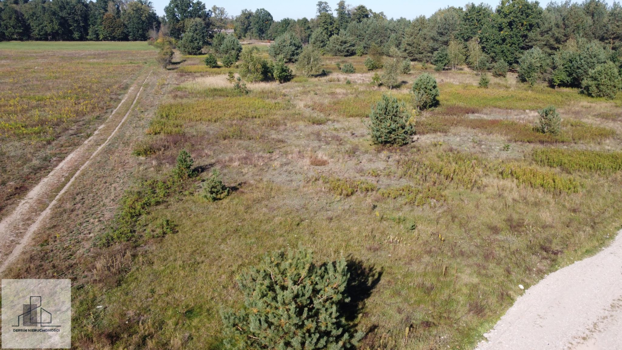 Działki budowlane 1000 m², 1200 m² i większe przy Kampinosie – Gać Leoncin - zdjęcie 2