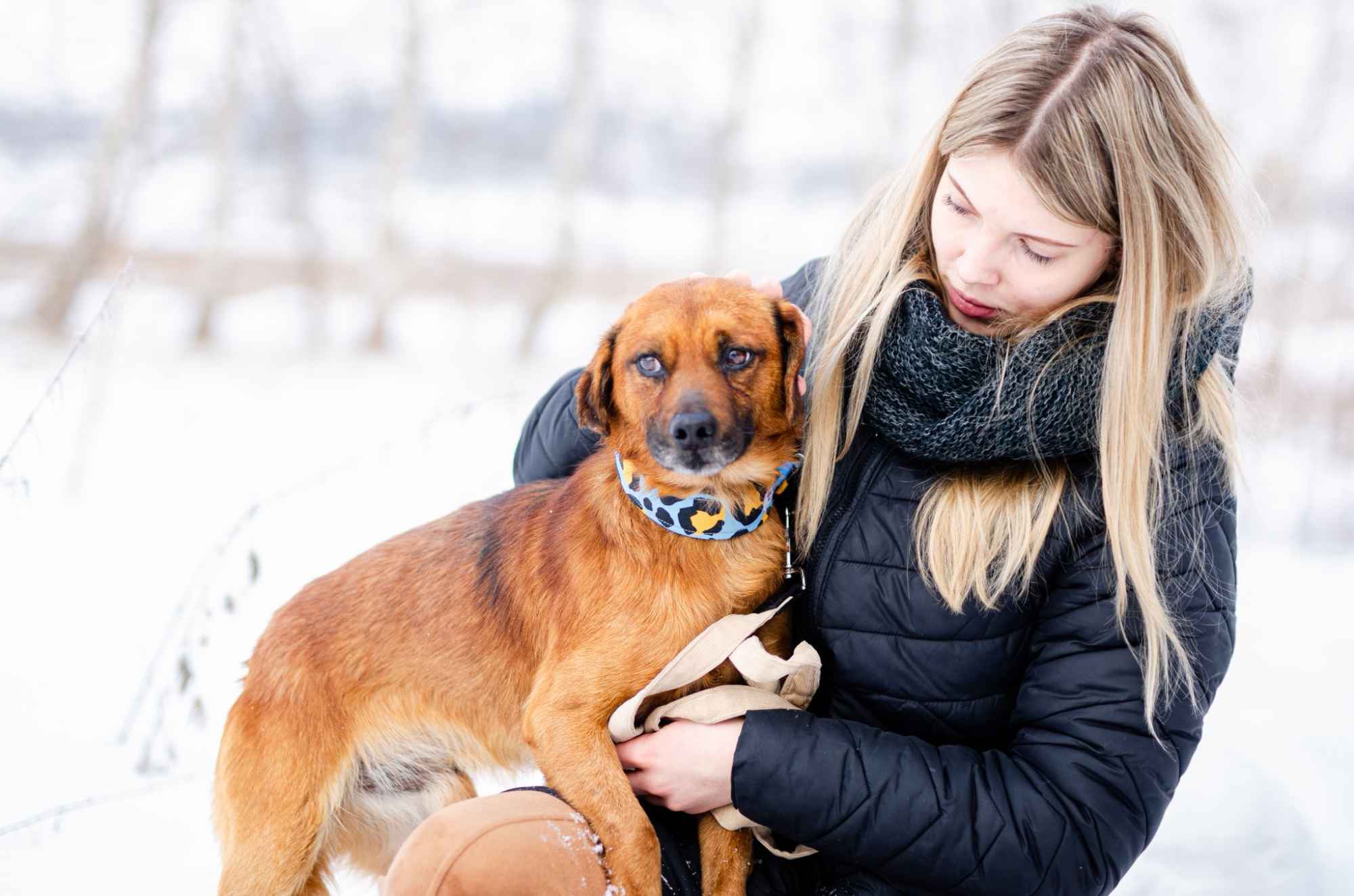 Korek - prawdziwy pies na medal! Olsztyn - zdjęcie 4