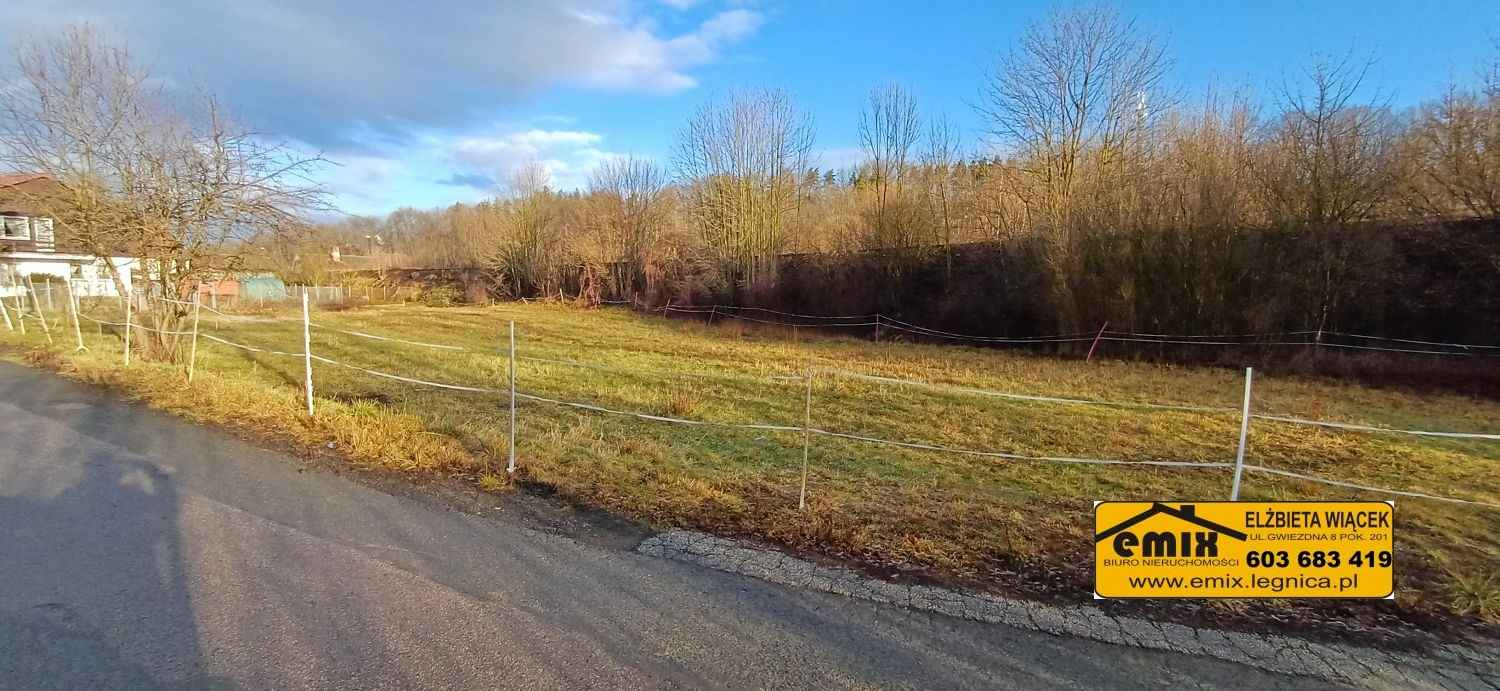 Działka budowlana 1500m2 w Starej Kraśnicy k. Świerzawy Złotoryja - zdjęcie 5