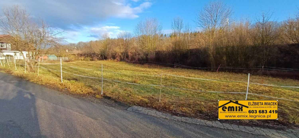 Działka budowlana 1500m2 w Starej Kraśnicy k. Świerzawy Złotoryja - zdjęcie 5