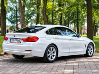 BMW 420 Sadlno - zdjęcie 6