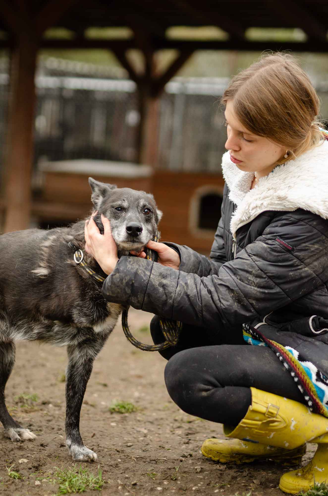 Hektor - cudowny, wesoły psi dziadeczek szuka domu! Olsztyn - zdjęcie 3