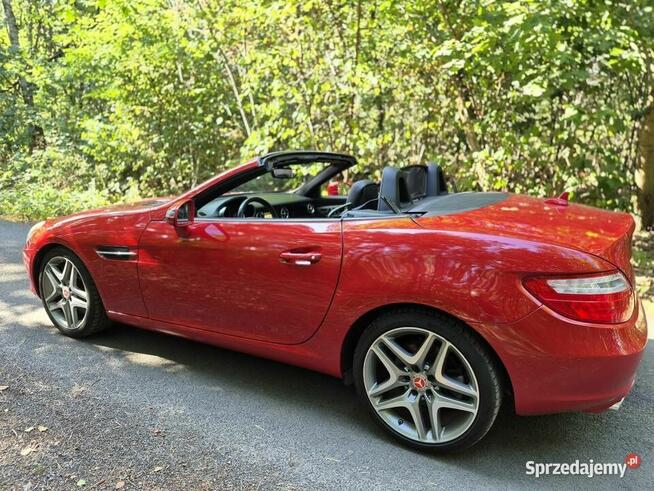 Mercedes slk r172 350 Grodzisk Mazowiecki - zdjęcie 4