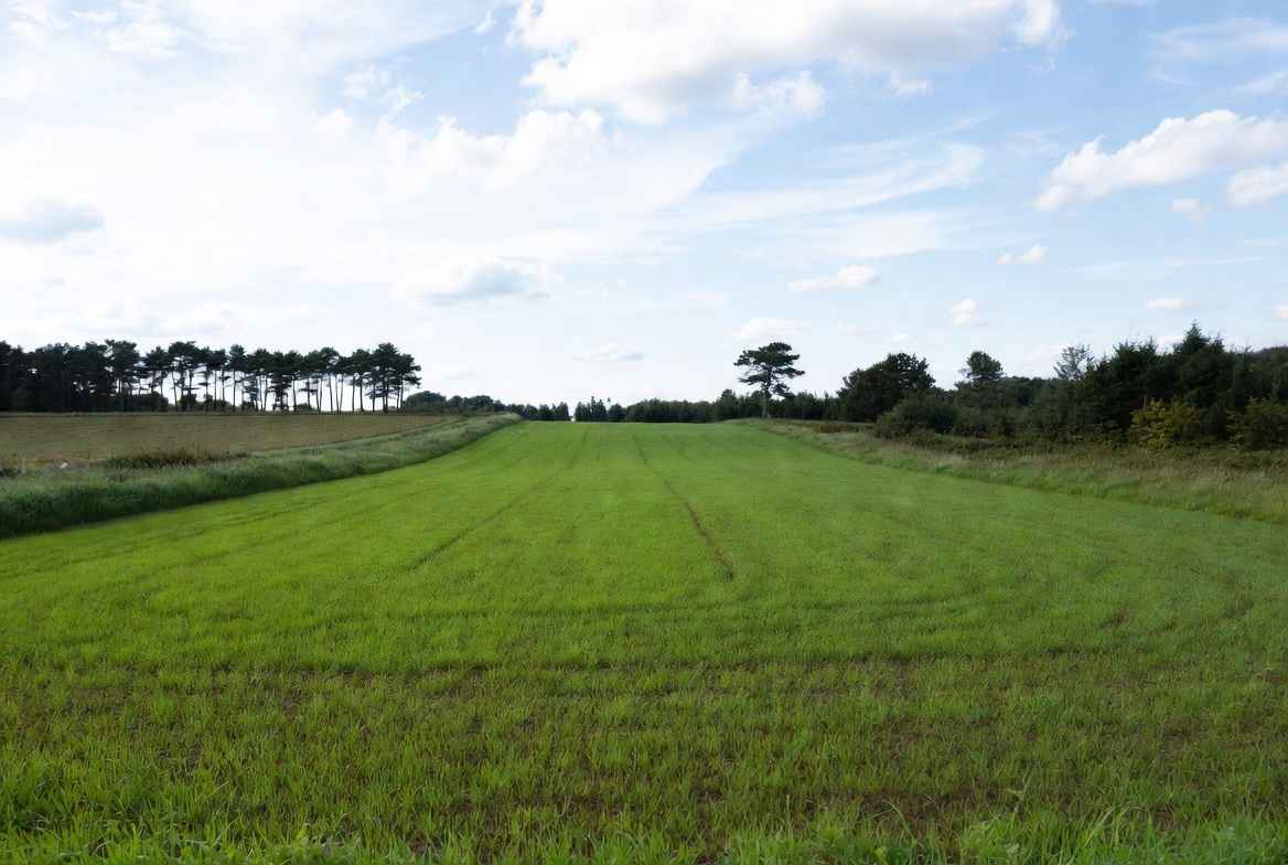 Działki inwest 1,6 km do Zatoka Pucka Hel Swarzewo - zdjęcie 5