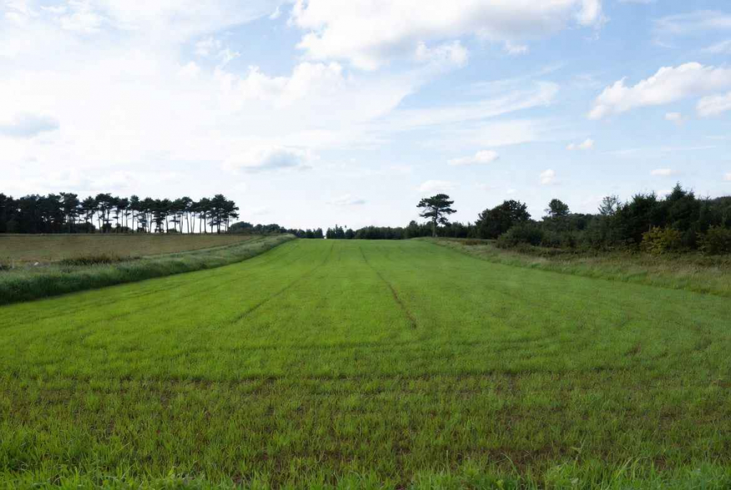 Działki inwest 1,6 km do Zatoka Pucka Hel Swarzewo - zdjęcie 5