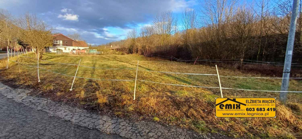 Działka budowlana 1500m2 w Starej Kraśnicy k. Świerzawy Złotoryja - zdjęcie 6