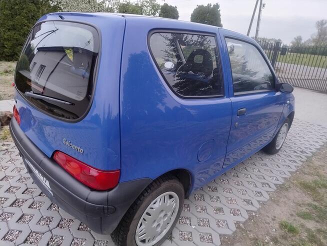 Sprzedam Seicento 1.1 Płońsk - zdjęcie 4