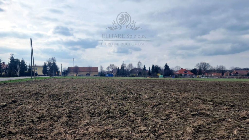 Działka siedliskowa 3000m2 z MPZP gm. Kąty Wrocławskie, Sokolniki Sokolniki - zdjęcie 5