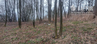 Duża działka z budynkiem gospodarczym – 80 arów, Sędziszowa Sędziszowa - zdjęcie 5