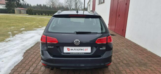 Volkswagen Golf Paproć - zdjęcie 6