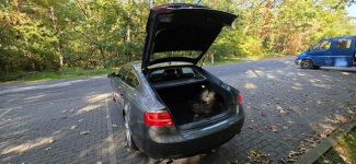 Audi A5 Kędzierzyn-Koźle - zdjęcie 8