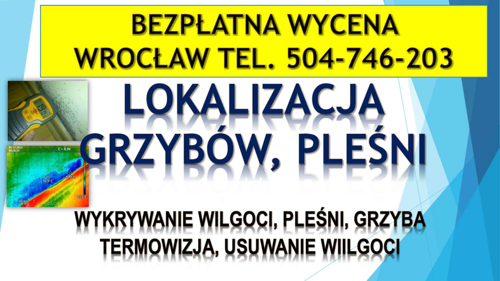 Wykrycie pleśni, t504-746-203. Wrocław, wykrywanie, pleśń, lokalizacja Psie Pole - zdjęcie 4
