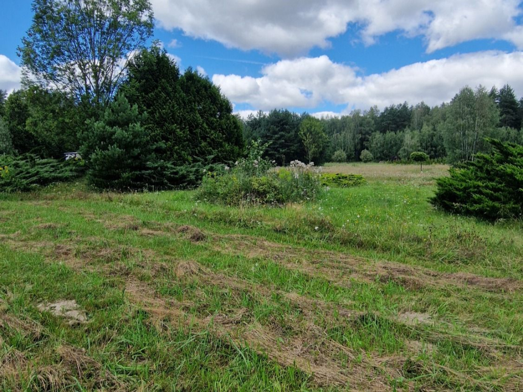 Działka budowlana Słójka Dziewiczy Ług Słójka - zdjęcie 10