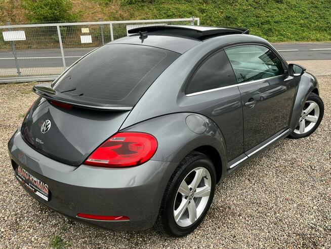 Volkswagen Beetle Stargard - zdjęcie 3
