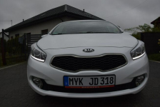Kia Cee'd 1.4B 2015r Navi Kamera Led 142 Tys Km Sprowadzony Majdan Sieniawski - zdjęcie 6