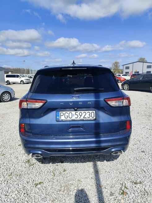 Ford Kuga 2.0 Diesel 4x4 Automat Grodzisk Wielkopolski - zdjęcie 7