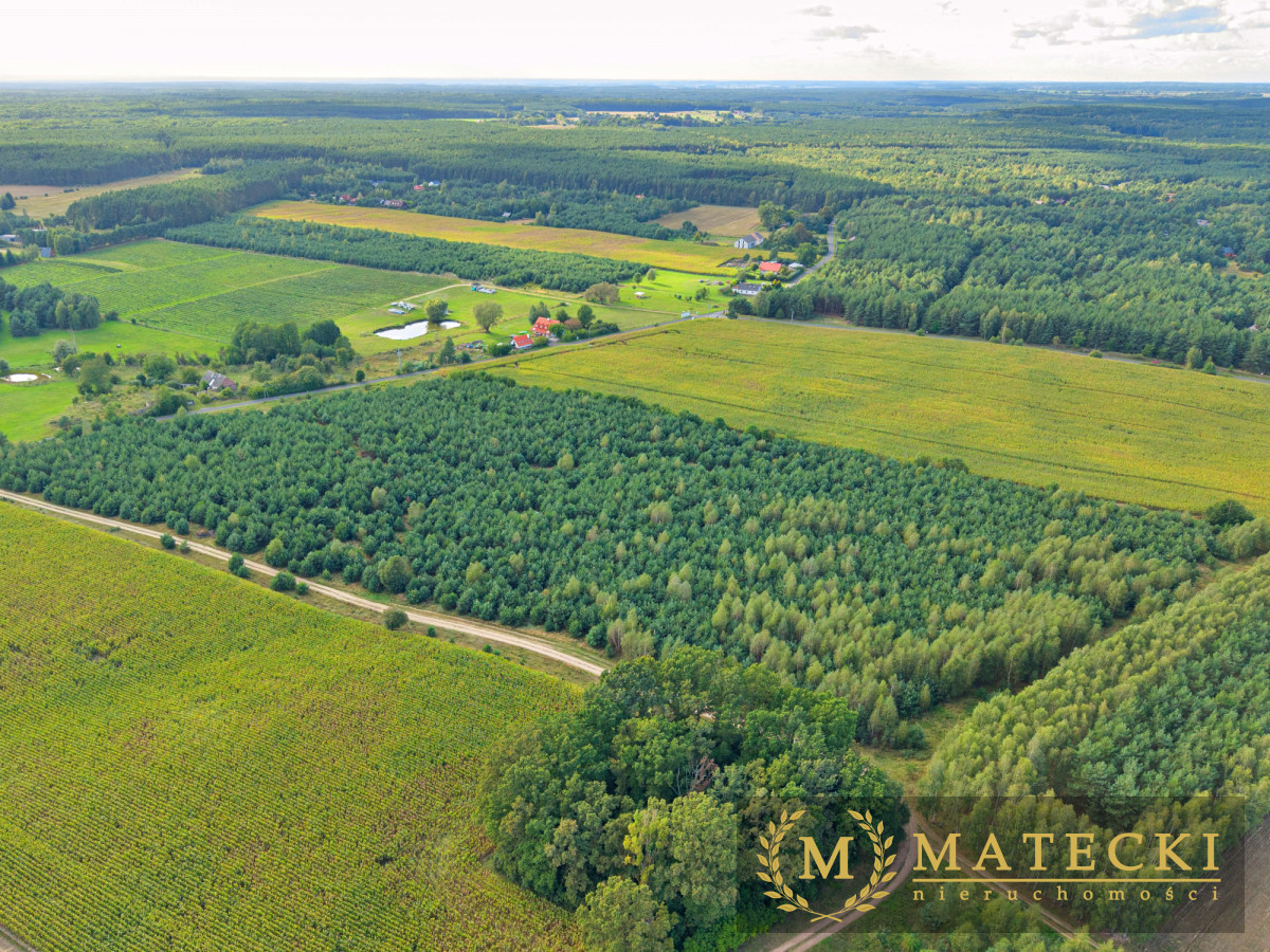 Wyjątkowa, duża działka z drzewami Karczewko - zdjęcie 5