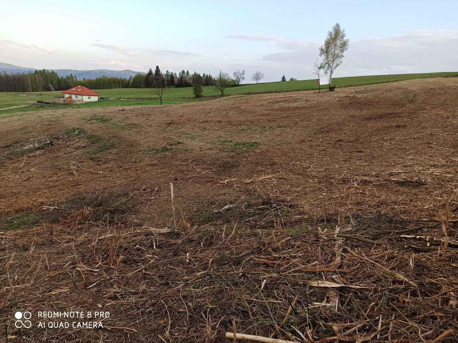 Działka rolno-budowlana (5600m2) ul. Leśna MEDIA (Tuchów) Tuchów - zdjęcie 6