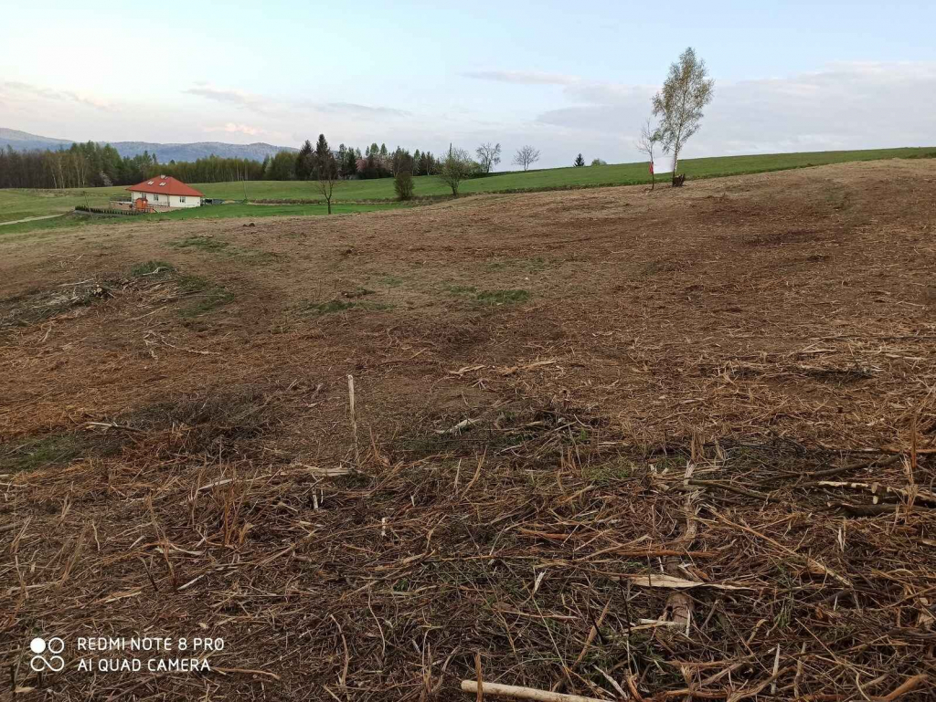 Działka rolno-budowlana (5600m2) ul. Leśna MEDIA (Tuchów) Tuchów - zdjęcie 6