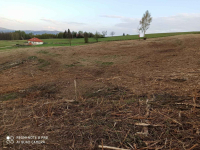 Działka rolno-budowlana (5600m2) ul. Leśna MEDIA (Tuchów) Tuchów - zdjęcie 6