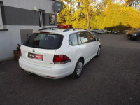 Volkswagen Golf Janów Lubelski - zdjęcie 4