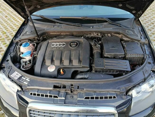Audi a 3 8p 1.9tdi bxe Starogard Gdański - zdjęcie 10